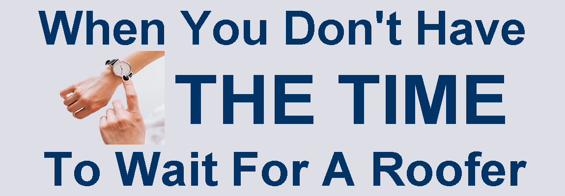 Shingle Roof Bid San Antonio